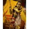 Lord Krishna Abhishekam
